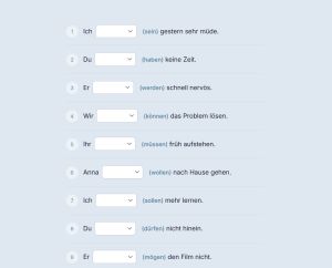 Captura de pantalla de ejercicios de gramática